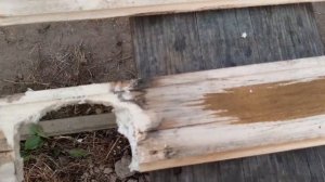 Гниет ли дерево под пеной?Еще одно доказательство.