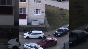 Бешеная собака напала на людей во дворе дома.