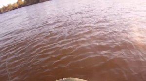 Megabass Power Bomb.Жерех,осы и шквал окуня.Asp Fishing,