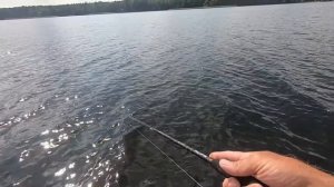 Воблер идеально подражает Раненой рыбке! TSURINOYA 100SP. Воблер на щуку.