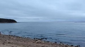 Комарово Финский залив! gulf of finland