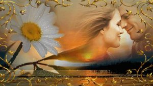 Не сбылось...    не случилось ...