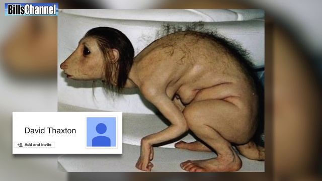 5 Amazing Hybrid Animals - real or fake смотреть онлайн