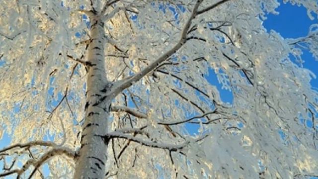 Спирин Антон  Белая береза смотреть онлайн