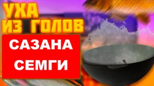 Уха из голов брюшек с хвостами на костре в казане!