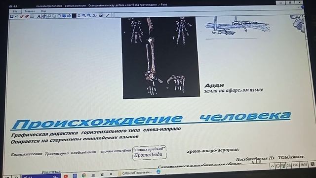 4 4     палеоАнтропология Метисация  между доТоба  и  постТоба людьми  Оррорин арди сахелантроп HPR