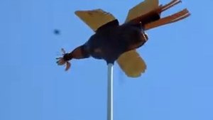 Отпугиватель птиц из пластиковых бутылок .Версия 1