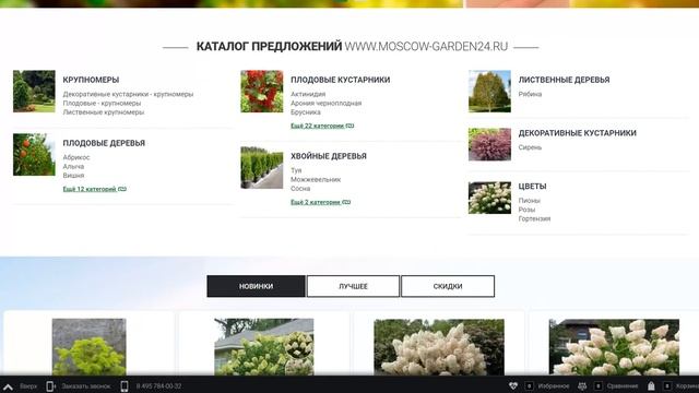 Саженцы плодовых деревьев, многолетних растений, декоративных саженцев, растения из питомника