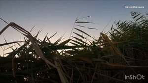 ОТКРЫТИЕ сезона ОХОТЫ  на ВОДОПЛАВАЮЩУЮ ДИЧЬ ???. 23.09.2023. Краснодарский край.