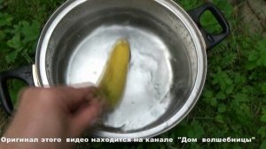 Волшебный симорон: самый дурацкий денежный ритуал