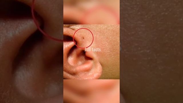 Насколько уникально твоё тело смотреть онлайн