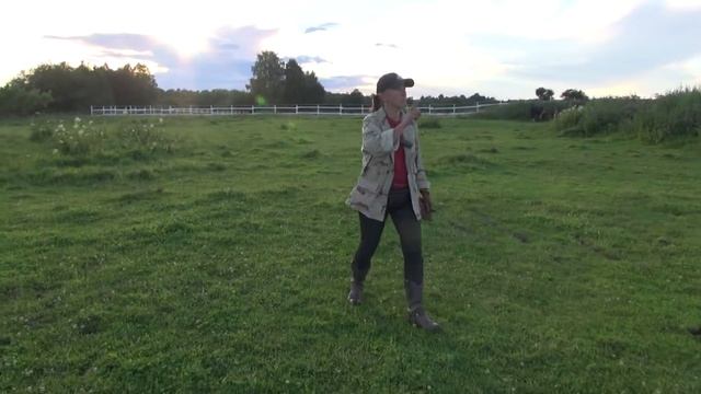 Про серебристо-вороную масть. Как она выглядит и что это такое?