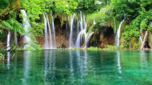 Suara Burung Lovebird dan Air Hujan