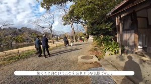 【ボケ感】Z24-120mm/f4s が凄い!Nikon Zfと一緒に横浜三溪園をPOVスナップ!【NikonZf】