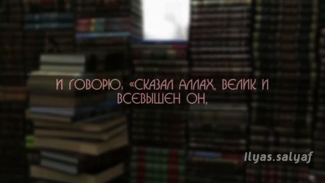 Поэма "Ламия" Шейхуль Ислама Ибн Таймии смотреть онлайн