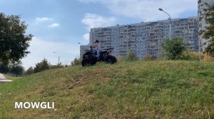 Электро квадроцикл E-Simple 8 1000w на аккумуляторах 48V/20А