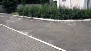 Имени Гергия Кирпы. Станция-призрак в лесу