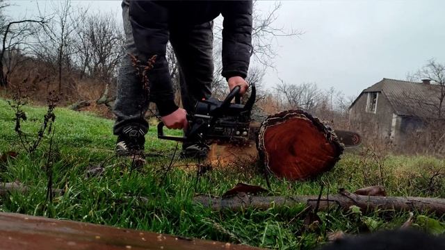 ОЧЕНЬ МОЩНАЯ - Бензопила Днипро - М Обзор в работе