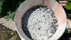 Обрабатываю им ВСЁ! МАЛАХИТОВЫЙ раствор от пероноспороза, фитофторы, мучнистой росы и всех болезней