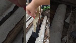 препарат для септиков,туалетов и выгребных ям . Часть 1 ,,Запуск "