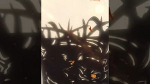 колыбельная Вот и люди спят вот и звери спят
