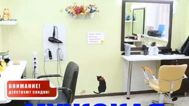 Мужская парикмахерская. Дешево не значит - плохо! 1 микр., Пентагон,  д.1а.