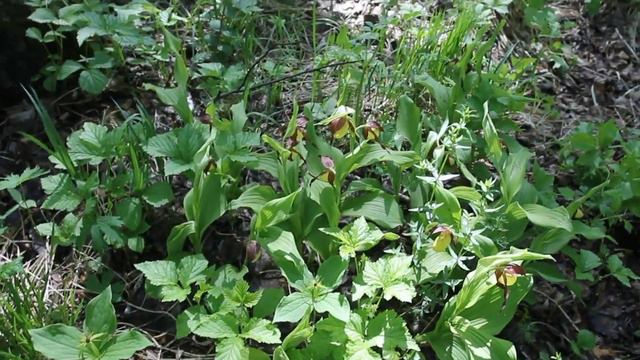 "Волшебные" полтора кв.м. смотреть онлайн