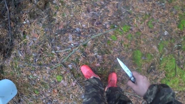ХОЛОД, А ОНИ ПРУТ! Белые грибы,польские,маслята,зеленки и подзеленки! Беларусь.ЧАСТЬ №1