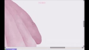 Pink Perl | Speedpaint Sai Paint Tool