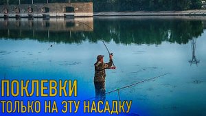 Клевало ТОЛЬКО на ЭТУ насадку. Рыбалка на донки и фидер. Рыбалка осенью.