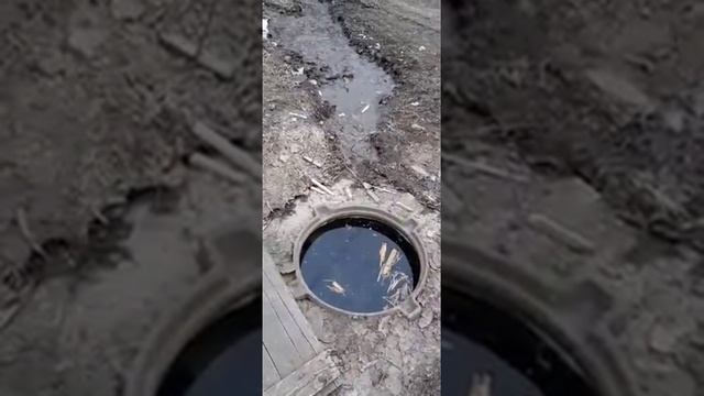 Вода топит пос. 20 лет РККА в Шахтах