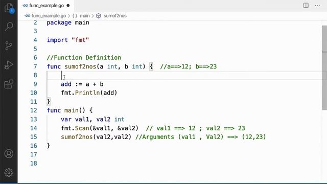 13 | Function in Go Lang | Go Tutorial | Go Lang Programming