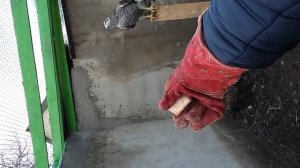 Как приручить ястреба тетеревятника