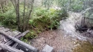 Тункинская долина(Хонгор-Уула, Аршан) 1 часть.