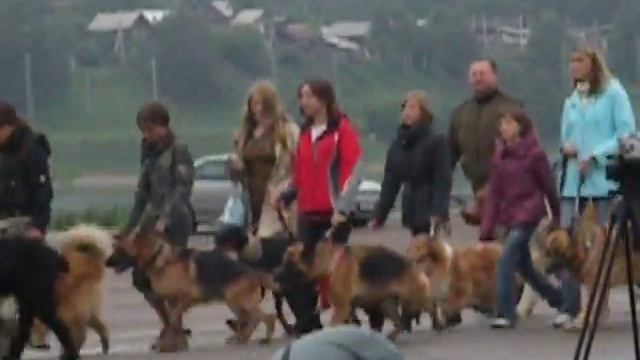 парад 100 лет кинологии иркутск смотреть онлайн