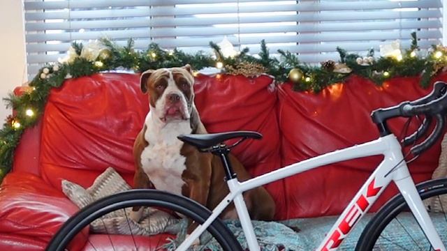 Getting serious about Zwifting! смотреть онлайн