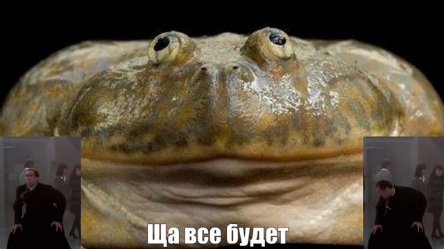 День рождения и Симс 💀 - Велинд(Velind)
