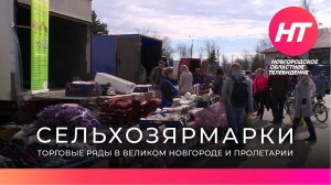 Сельскохозяйственная ярмарка развернулась в поселке Пролетарий