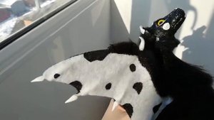 Волк. Крылатый волк. Кукла волка. ООAK кукла.Wolf. Winged wolf. Doll wolf. OОАК doll.