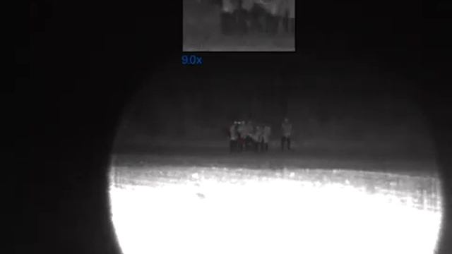 Охота на волка, а пришли мигранты￼ смотреть онлайн