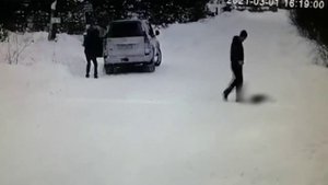 Мужчина застрелил собаку и протащил ее на веревке за а