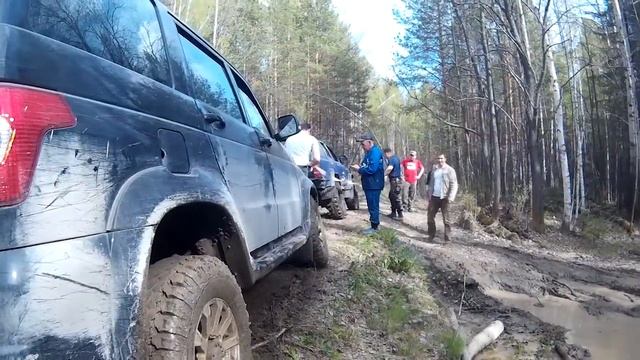 семь братьев 3 сестры