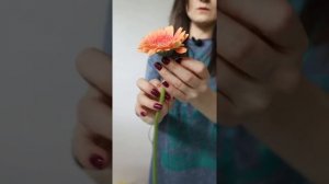 КАК УКРЕПИТЬ СТЕБЕЛЬ ГЕРБЕРЫ?