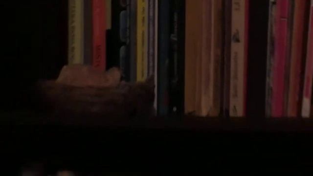 Test Canon SX510 HS смотреть онлайн