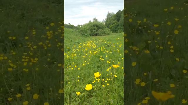 Башкирия, Гафурийский район, Березовка