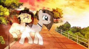 пони клип-ветром стать