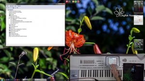 Korg PA. Проблема подключения по USB к компьютеру