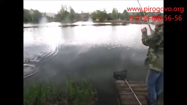 Платная рыбалка смотреть онлайн