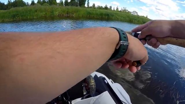 Лето. Окунь. Ультралайт. Один июльский день рыболова на реке и Чудском озере. смотреть онлайн