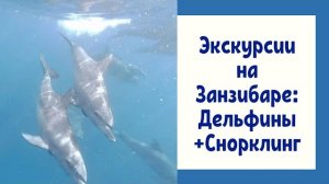 ЗАНЗИБАР 2021.Мнемба: НЕ ПОКУПАЙТЕ эту экскурсию на большой лодке. Плаваем с дельфинами/снорклим